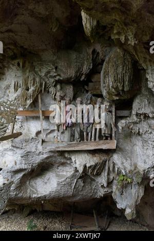 In dieser Höhle wurden schon viele Angehörige der Toraja beerdigt. An den Gräbern werden geschnitzte Holzfiguren aufgestellt, die Verstorbenen symbolisieren. Religion Ihre ursprüngliche Religion bezeichnet man heute als Rituale der Ahnen aluk to dolo. Sie basieren auf den Gegensätzen Leben und Tod, Ost und West, Sonnenaufgang und - untergang. Viele Riten bleiben erhalten, obwohl mit den Holländern auch Missionare kamen. Diese untersagen zum Beispiel alle Bräuche zur Förderung der Fruchtbarkeit, befürworten aber den Totenkult. Das Bestatungsritual aluk rambe matampu gewann dadurch Stockfoto