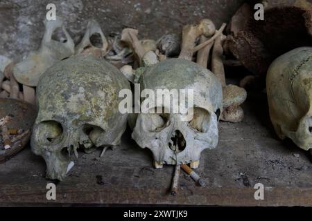 In dieser Höhle wurden schon viele Angehörige der Toraja beerdigt. Von vielen ist nur noch der Totenschädel vorhanden. In ihrem Glauben werden die Familienmitglieder mit Getränken und Lebensmitteln versorgt, aber auch mit Zigaretten. Religion Ihre ursprüngliche Religion bezeichnet man heute als Rituale der Ahnen aluk to dolo. Sie basieren auf den Gegensätzen Leben und Tod, Ost und West, Sonnenaufgang und - untergang. Viele Riten bleiben erhalten, obwohl mit den Holländern auch Missionare kamen. Diese untersagen zum Beispiel alle Bräuche zur Förderung der Fruchtbarkeit, befürworten aber Stockfoto