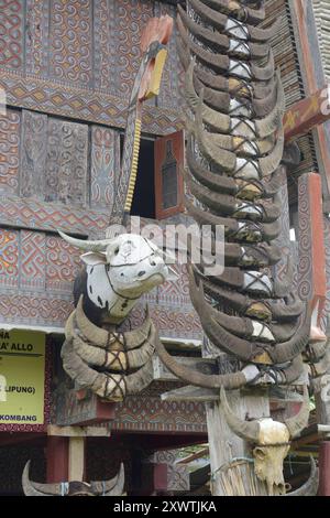 In Sangalla und in dessen Umland gibt es viele kunstvoll errichtetete Reisspeicher der Toraja zu bestaunen. Die traditionellen Reisspeicher werden Alang genannt und stehen auf runden Pfählen. Dagegen stehen die traditionellen Wohnhäuser, die tongkonan genannt werden, auf eckigen Pfählen. Ein typisches Toraja-Dorf besteht aus zwei parallelen Häuserreihen in Ost-West-Richtung. Die Wohnhäuser sehen nach Norden und damit den Göttern entgegen. Ihnen gegenüber stehen die Reisspeicher. Für traditionell denkende Toraja ist der tongkonan viel mehr als ein Schutz vor der Witterung. Ihre Wohnhäuser sind N Stockfoto