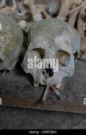 In dieser Höhle wurden schon viele Angehörige der Toraja beerdigt. Von vielen ist nur noch der Totenschädel vorhanden. In ihrem Glauben werden die Familienmitglieder mit Getränken und Lebensmitteln versorgt, aber auch mit Zigaretten. Religion Ihre ursprüngliche Religion bezeichnet man heute als Rituale der Ahnen aluk to dolo. Sie basieren auf den Gegensätzen Leben und Tod, Ost und West, Sonnenaufgang und - untergang. Viele Riten bleiben erhalten, obwohl mit den Holländern auch Missionare kamen. Diese untersagen zum Beispiel alle Bräuche zur Förderung der Fruchtbarkeit, befürworten aber Stockfoto