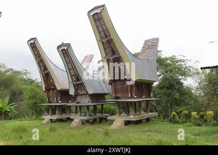 In Sangalla und in dessen Umland gibt es viele kunstvoll errichtetete Reisspeicher der Toraja zu bestaunen. Die traditionellen Reisspeicher werden Alang genannt und stehen auf runden Pfählen. Dagegen stehen die traditionellen Wohnhäuser, die tongkonan genannt werden, auf eckigen Pfählen. Ein typisches Toraja-Dorf besteht aus zwei parallelen Häuserreihen in Ost-West-Richtung. Die Wohnhäuser sehen nach Norden und damit den Göttern entgegen. Ihnen gegenüber stehen die Reisspeicher. Für traditionell denkende Toraja ist der tongkonan viel mehr als ein Schutz vor der Witterung. Ihre Wohnhäuser sind N Stockfoto