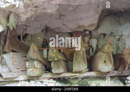 In dieser Höhle wurden schon viele Angehörige der Toraja beerdigt. An den Gräbern werden geschnitzte Holzfiguren aufgestellt, die Verstorbenen symbolisieren. Religion Ihre ursprüngliche Religion bezeichnet man heute als Rituale der Ahnen aluk to dolo. Sie basieren auf den Gegensätzen Leben und Tod, Ost und West, Sonnenaufgang und - untergang. Viele Riten bleiben erhalten, obwohl mit den Holländern auch Missionare kamen. Diese untersagen zum Beispiel alle Bräuche zur Förderung der Fruchtbarkeit, befürworten aber den Totenkult. Das Bestatungsritual aluk rambe matampu gewann dadurch Stockfoto