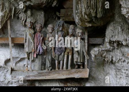 In dieser Höhle wurden schon viele Angehörige der Toraja beerdigt. An den Gräbern werden geschnitzte Holzfiguren aufgestellt, die Verstorbenen symbolisieren. Religion Ihre ursprüngliche Religion bezeichnet man heute als Rituale der Ahnen aluk to dolo. Sie basieren auf den Gegensätzen Leben und Tod, Ost und West, Sonnenaufgang und - untergang. Viele Riten bleiben erhalten, obwohl mit den Holländern auch Missionare kamen. Diese untersagen zum Beispiel alle Bräuche zur Förderung der Fruchtbarkeit, befürworten aber den Totenkult. Das Bestatungsritual aluk rambe matampu gewann dadurch Stockfoto