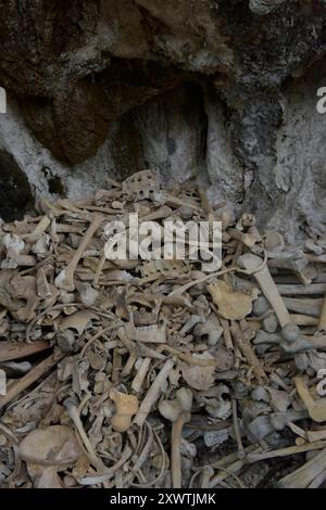 In dieser Höhle wurden schon viele Angehörige der Toraja beerdigt. Von vielen ist nur noch der Totenschädel vorhanden. Religion Ihre ursprüngliche Religion bezeichnet man heute als Rituale der Ahnen aluk to dolo. Sie basieren auf den Gegensätzen Leben und Tod, Ost und West, Sonnenaufgang und - untergang. Viele Riten bleiben erhalten, obwohl mit den Holländern auch Missionare kamen. Diese untersagen zum Beispiel alle Bräuche zur Förderung der Fruchtbarkeit, befürworten aber den Totenkult. Das Bestatungsritual aluk rambe matampu gewann dadurch in der Gesellschaft der Toraja an Bedeutung Stockfoto