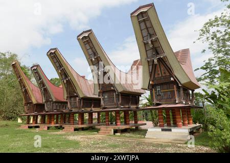 In Sangalla und in dessen Umland gibt es viele kunstvoll errichtetete Reisspeichern der Toraja zu bestaunen wie hier in Suaya. Die traditionellen Reisspeicher werden Alang genannt und stehen auf runden Pfählen. Dagegen stehen die traditionellen Wohnhäuser, die tongkonan genannt werden, auf eckigen Pfählen. Ein typisches Toraja-Dorf besteht aus zwei parallelen Häuserreihen in Ost-West-Richtung. Die Wohnhäuser sehen nach Norden und damit den Göttern entgegen. Ihnen gegenüber stehen die Reisspeicher. Für traditionell denkende Toraja ist der tongkonan viel mehr als ein Schutz vor der Witterung. Ihr Stockfoto