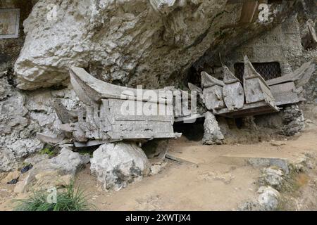 In dieser Höhle sind viele Angehörige der Toraja in Särgen beerdigt worden. Religion Ihre ursprüngliche Religion bezeichnet man heute als Rituale der Ahnen aluk to dolo. Sie basieren auf den Gegensätzen Leben und Tod, Ost und West, Sonnenaufgang und - untergang. Viele Riten bleiben erhalten, obwohl mit den Holländern auch Missionare kamen. Diese untersagen zum Beispiel alle Bräuche zur Förderung der Fruchtbarkeit, befürworten aber den Totenkult. Das Bestatungsritual aluk rambe matampu gewann dadurch in der Gesellschaft der Toraja an Bedeutung. Ihre verstorbenen Familienmitglieder wer Stockfoto