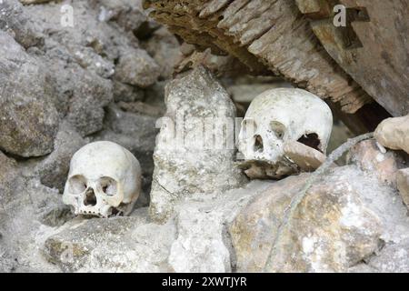 In dieser Höhle sind viele Angehörige der Toraja in Särgen beerdigt worden. Weil ihr Sarg im Laufe der Jahrhunderte verrottete sind von vielen Verstorbenen nur noch der Totenschädel vorhanden. Religion Ihre ursprüngliche Religion bezeichnet man heute als Rituale der Ahnen aluk to dolo. Sie basieren auf den Gegensätzen Leben und Tod, Ost und West, Sonnenaufgang und - untergang. Viele Riten bleiben erhalten, obwohl mit den Holländern auch Missionare kamen. Diese untersagen zum Beispiel alle Bräuche zur Förderung der Fruchtbarkeit, befürworten aber den Totenkult. Das Bestatungsritual Alu Stockfoto