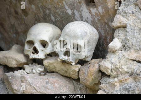 In dieser Höhle sind viele Angehörige der Toraja in Särgen beerdigt worden. Weil ihr Sarg im Laufe der Jahrhunderte verrottete sind von vielen Verstorbenen nur noch der Totenschädel vorhanden. Religion Ihre ursprüngliche Religion bezeichnet man heute als Rituale der Ahnen aluk to dolo. Sie basieren auf den Gegensätzen Leben und Tod, Ost und West, Sonnenaufgang und - untergang. Viele Riten bleiben erhalten, obwohl mit den Holländern auch Missionare kamen. Diese untersagen zum Beispiel alle Bräuche zur Förderung der Fruchtbarkeit, befürworten aber den Totenkult. Das Bestatungsritual Alu Stockfoto