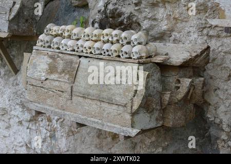 In dieser Höhle sind viele Angehörige der Toraja in Särgen beerdigt worden. Weil ihr Sarg im Laufe der Jahrhunderte verrottete sind von vielen Verstorbenen nur noch der Totenschädel vorhanden. Religion Ihre ursprüngliche Religion bezeichnet man heute als Rituale der Ahnen aluk to dolo. Sie basieren auf den Gegensätzen Leben und Tod, Ost und West, Sonnenaufgang und - untergang. Viele Riten bleiben erhalten, obwohl mit den Holländern auch Missionare kamen. Diese untersagen zum Beispiel alle Bräuche zur Förderung der Fruchtbarkeit, befürworten aber den Totenkult. Das Bestatungsritual Alu Stockfoto