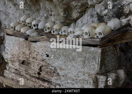 In dieser Höhle sind viele Angehörige der Toraja in Särgen beerdigt worden. Weil ihr Sarg im Laufe der Jahrhunderte verrottete sind von vielen Verstorbenen nur noch der Totenschädel vorhanden. Religion Ihre ursprüngliche Religion bezeichnet man heute als Rituale der Ahnen aluk to dolo. Sie basieren auf den Gegensätzen Leben und Tod, Ost und West, Sonnenaufgang und - untergang. Viele Riten bleiben erhalten, obwohl mit den Holländern auch Missionare kamen. Diese untersagen zum Beispiel alle Bräuche zur Förderung der Fruchtbarkeit, befürworten aber den Totenkult. Das Bestatungsritual Alu Stockfoto