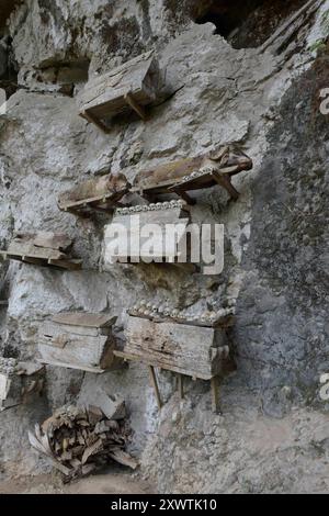 In dieser Höhle sind viele Angehörige der Toraja in Särgen beerdigt worden. Weil ihr Sarg im Laufe der Jahrhunderte verrottete sind von vielen Verstorbenen nur noch der Totenschädel vorhanden. Religion Ihre ursprüngliche Religion bezeichnet man heute als Rituale der Ahnen aluk to dolo. Sie basieren auf den Gegensätzen Leben und Tod, Ost und West, Sonnenaufgang und - untergang. Viele Riten bleiben erhalten, obwohl mit den Holländern auch Missionare kamen. Diese untersagen zum Beispiel alle Bräuche zur Förderung der Fruchtbarkeit, befürworten aber den Totenkult. Das Bestatungsritual Alu Stockfoto