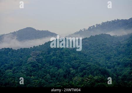 Wolken, die über einem bewaldeten Hügel in Penang, Malaysia, Rollen Stockfoto