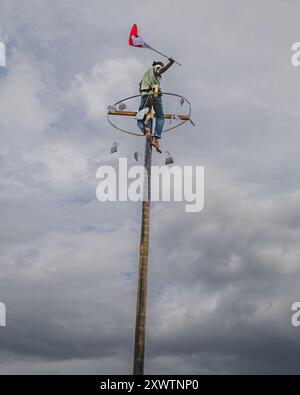 Balikpapan, Indonesien - 18. August 2024. Der Spieler muss die Flagge ergreifen, bevor er die Preise im Wettbewerb „Panjat Pinang“ oder „Palmenklettern“ einfordert Stockfoto