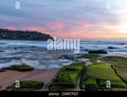 Sonnenaufgang über Sydney, Whale Beach in Sydney Northern Beaches Gegend, Sonnenaufgang über dem Ozean mit Algenmoosfelsen im Vordergrund, Sydney, NSW, Australien Stockfoto