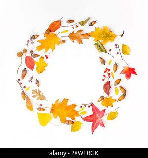 Herbstblätter in kreisförmigem Muster auf weißem Hintergrund, leuchtenden Herbstfarben und verschiedenen Blattformen Stockfoto