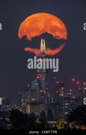 London, Großbritannien. August 2024. Wetter in Großbritannien: Sturgeon Blue Supermoon (abnehmendes Gibbous) erhebt sich am Dienstagabend in der Nähe des Shard Wolkenkratzers über der Stadt mit 99 %. Traditionell als Sturgeon Moon bezeichnet, weil der Riesenstörer der Großen Seen und des Lake Champlain in in dieser Sommerhälfte am leichtesten gefangen wurde“, so der Almanach des Almanachs. Guy Corbishley/Alamy Live News Stockfoto