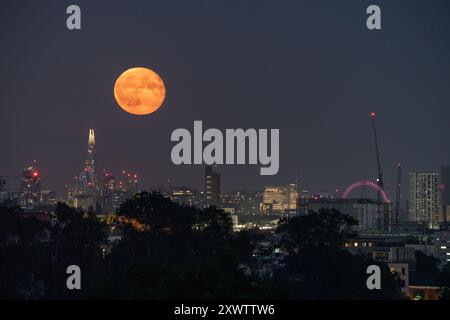 London, Großbritannien. August 2024. Wetter in Großbritannien: Sturgeon Blue Supermoon (abnehmendes Gibbous) erhebt sich am Dienstagabend in der Nähe des Shard Wolkenkratzers über der Stadt mit 99 %. Traditionell als Sturgeon Moon bezeichnet, weil der Riesenstörer der Großen Seen und des Lake Champlain in in dieser Sommerhälfte am leichtesten gefangen wurde“, so der Almanach des Almanachs. Guy Corbishley/Alamy Live News Stockfoto