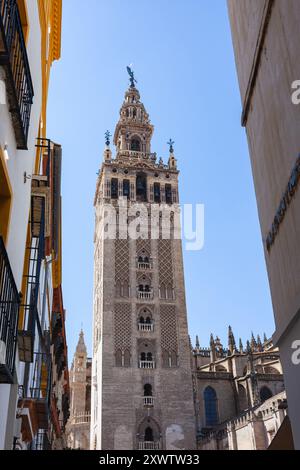 La Giralda, der berühmte maurische Glockenturm der Kathedrale von Sevilla (Catedral de Sevilla), eine katholische Kirche und ehemalige Moschee, Andalusien, Spanien. Stockfoto