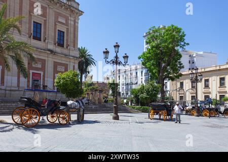 Traditionelle Pferdekutsche wartet auf Touristen auf der Plaza del Triunfo in der Nähe der Kathedrale von Sevilla, Andalusien, Sevilla, Spanien Stockfoto