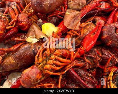 Louisiana Langusten Kochen Stockfoto