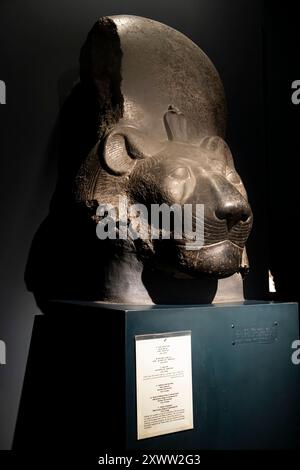 Luxor Museum, Kopf der Göttin Sekhmet, Luxor Tempel, Luxor, Ägypten, Nordafrika, Afrika Stockfoto