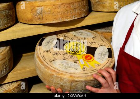 Leckere italienische Käse verkauft in Giolito Käseladen in Bra, Piemont, Italien. Stockfoto