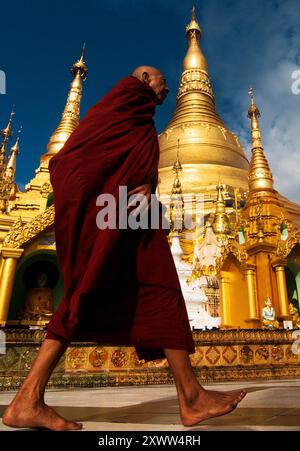 Ein buddhistischer Mönch, der an der Shwedagon-Pagode in Yangon, Myanmar, vorbeiläuft. Stockfoto