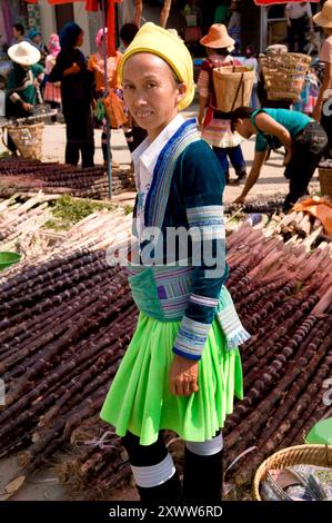 Eine Hmong ( Miao ) Frau, die ein traditionelles Kleid trägt Stockfoto