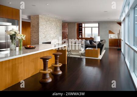 Modernes Apartment Wohnzimmer mit einem Teil der Kücheninsel Stockfoto