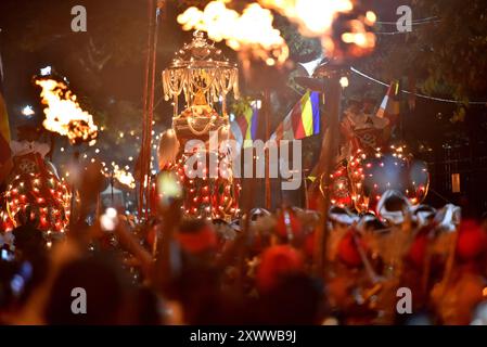 Kandy, Sri Lanka. August 2024. Das Esala Perahera in Kandy, eines der ältesten und größten buddhistischen Feste des Landes. Der kulturelle und religiöse Wettbewerb findet jährlich statt, um dem Heiligen Zahn-Relic zu huldigen und die Segnungen der Schutzgottheiten (Sri Vishnu, Kataragama, Natha und Pathini der vier Devalas) zu erbitten. (Foto: Ruwan Walpola/Pacific Press) Credit: Pacific Press Media Production Corp./Alamy Live News Stockfoto