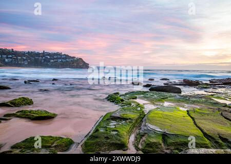 Sydney Sonnenaufgang über Whale Beach, orange roter Himmel mit grünen Algen auf Felsen am Wasser, NSW, Australien Stockfoto