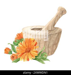 Holzmörtel für Kräuter und Ringelblumen. Herstellung von Kräutertee, Tonic. Das Konzept der Phytotherapie, Labor. Zusammensetzung für das Etikett DE Stockfoto