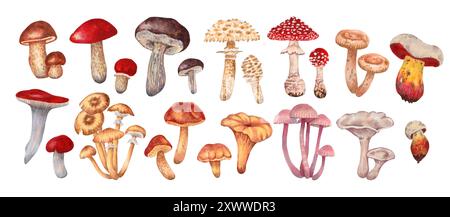 Set von essbaren und giftigen Pilzen. Aquarell- und Markierungsabbildung. Botanische kleine, vielfältige Waldpflanzen. Handgezeichnetes isoliertes Clipart Stockfoto