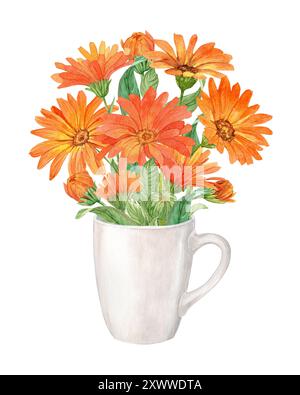 Ringelblumenstrauß in einem weißen Porzellanbecher. Helle Merigoldblüten. Aquarellabbildung. Design der Tee-Verpackung. Stockfoto