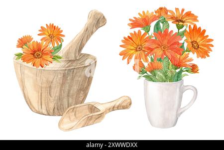Holzmörtel für Kräuter und Ringelblumen. Herstellung von Kräutertee, Tonic. Das Konzept der Phytotherapie, Labor. Zusammensetzung für das Etikett DE Stockfoto