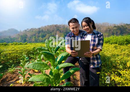 Ein Mann und eine Frau schauen auf einem Feld auf eine Tablette. Der Mann trägt ein blaues Hemd und die Frau ein kariertes Hemd Stockfoto