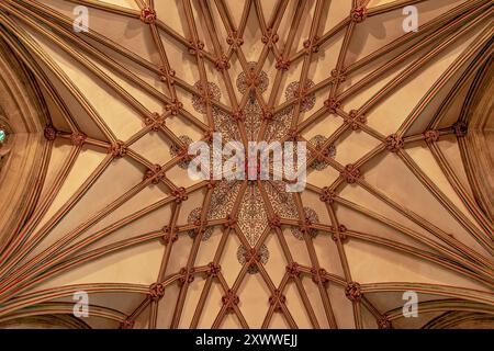 Decke der Lady Chapel, Kathedrale von Wells, Somerset, England Stockfoto