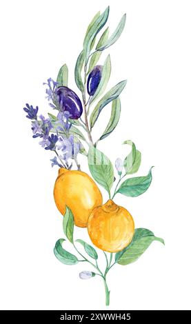 Eine Zusammensetzung von Zitronen-, Lavendel- und Olivenzweigen. Ein Bouquet im Stil der Provence. Eine Komposition von Früchten zur Dekoration von Geschirr, Einladungen, Stockfoto