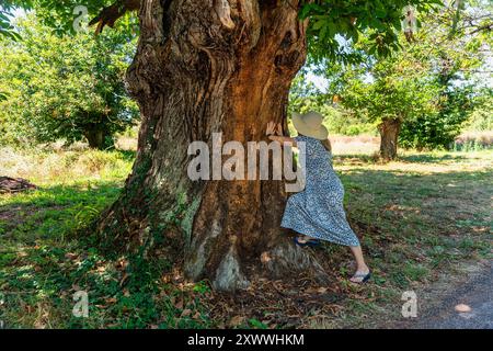 Eine Frau, die den Stamm eines riesigen Baumes auf dem Feld berührt Stockfoto