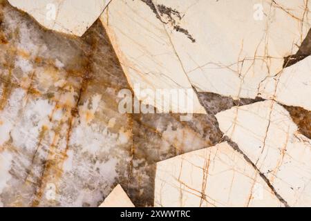 Natürlicher Quarzitstein mit einem auffälligen Muster aus weiß- und Brauntönen. Ideal für High-End-Oberflächen. Stockfoto