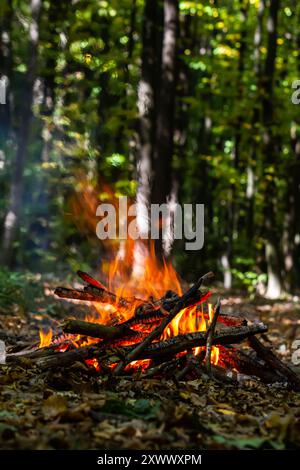 Flamme des Holzkohlefeuers. Herd zum Kochen und Heizen. Gefahr im Wald. Stockfoto