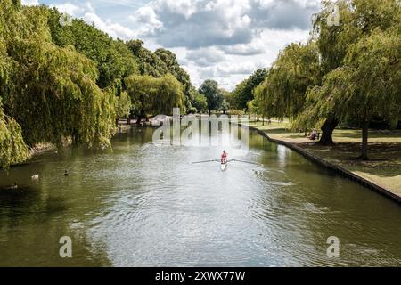 Bedford, England - 8. Juli 2024: Ein Rudertraining in einem einzigen Schädel am Fluss Great Ouse in Bedford in Bedfordhire, England Stockfoto