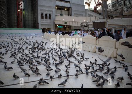Mekka, Saudi-Arabien - 31. Mai 2024: Pilger der Hajj und Umrah gehen nach Masjidil Haram, große Moschee in Mekka, Saudia-Arabien mit vielen Tauben in der for Stockfoto