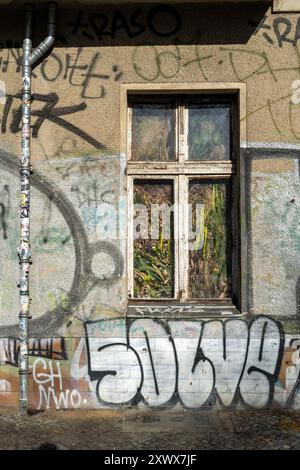 Eine urbane Szene in Berlin Friedrichshain mit einem Fenster mit Innenpflanzen, das einer graffierten Gebäudefassade gegenübergestellt wird. Eine Metapher für die Natur, die im urbanen Chaos gedeiht. Stockfoto