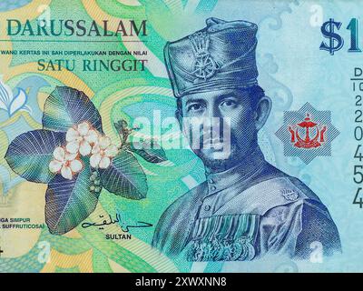 Nahaufnahme von Sultan Hassan al-Bolkiah, Porträt von Brunei neuer 1-Dollar-Polymer-Banknote Stockfoto