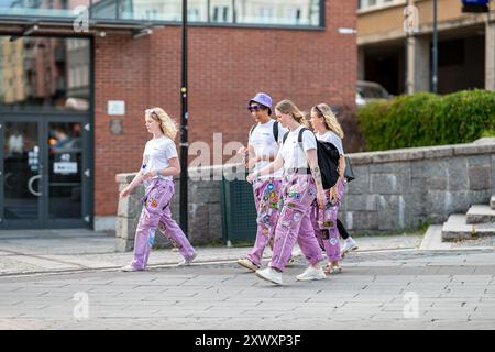 Studierende in Kostümen treffen sich zu Beginn ihres ersten Jahres für Nolle-P, einen traditionellen Empfang, auf dem Campus Norrköping in Liu Stockfoto