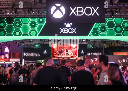 Köln, Deutschland. August 2024. Besucher besuchen den Stand der Microsoft Xbox auf der Gamescom Computer- und Videospielmesse. Die Messe findet vom 21. Bis 25. August 2024 in Köln statt. Quelle: Oliver Berg/dpa/Alamy Live News Stockfoto