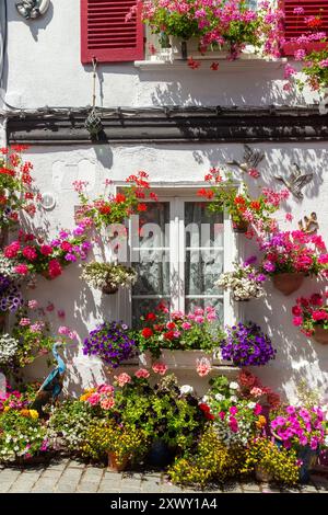 Helle Blumen vor alten traditionellen Häusern in der Rue des Moulins, St. Valery sur Somme, Somme, Picardy, Frankreich Stockfoto