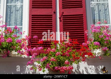 Helle Blumen vor alten traditionellen Häusern in der Rue des Moulins, St. Valery sur Somme, Somme, Picardy, Frankreich Stockfoto