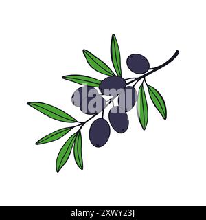 Oliven Frucht dunkel auf Zweig, Symbol, Logo, isoliert auf weißem Hintergrund. Vektorabbildung Stock Vektor